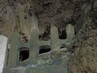 P2110049 2  シルミチュー